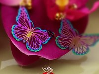 Clip on Butterfly Earrings