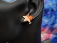 Neon Pink Wooden Star  Earrings